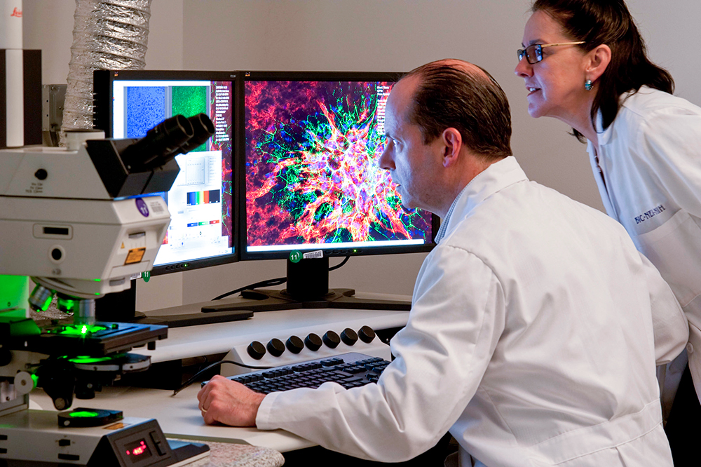 NEI Laboratory Research 
Two scientists observe ocular tissue samples under a laser scanning microscope. Building 6, NIH Campus, Bethesda, MD
 
Credit: National Eye Institute, National Institutes of Health